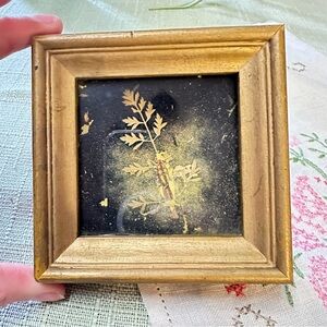 Vintage Botanical Shadow Box Frame – Gold Wood, 4.5” Square